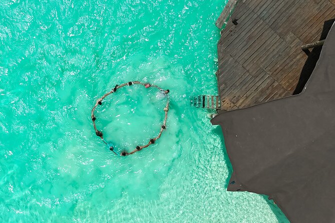 Photography and Filming with drone and camera - Tips for getting better photos in Bacalar