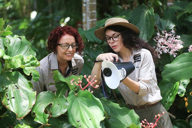 Photography and Nature in Cairns Botanic Gardens Let's Go Buggin - Looking beneath the leaves in Cairns Botanic Gardens