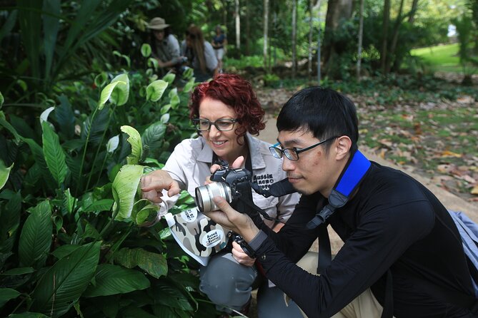 Photography and Nature in Cairns Botanic Gardens Let's Go Buggin - Bridgette Gower’s approach to finding small creatures
