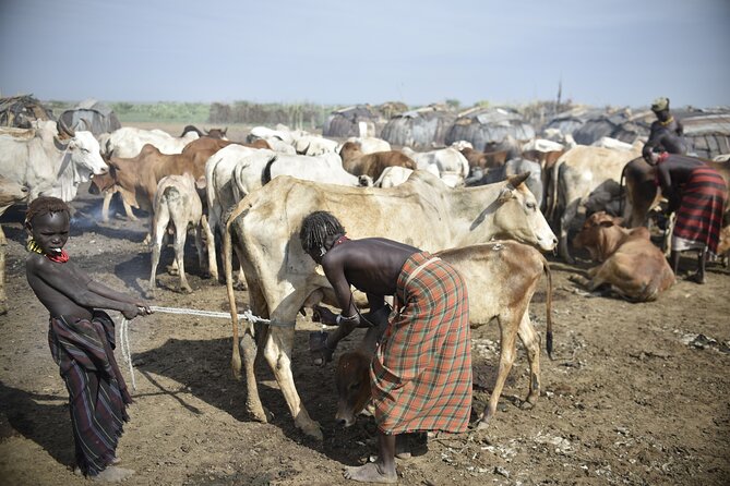 Photography Expeditions to Omo Valley - Day 6: Dorze houses, weaving, and the flight north