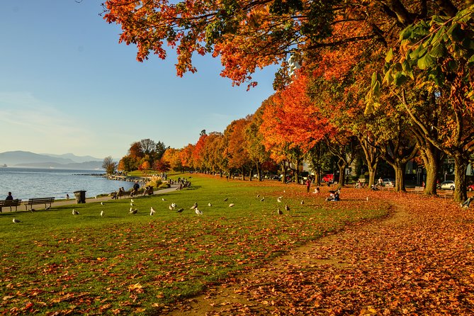 Photography & Hiking in Nature - Granville Island is your built-in lunch stop