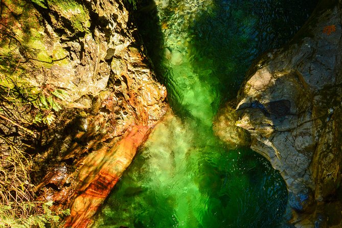 Photography in Rainforest & Suspension Bridge - Why Lynn Canyon makes a good photography classroom