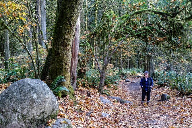 Photography in Rainforest & Suspension Bridge - Weather, clothing, and trail comfort