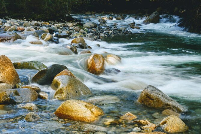 Photography in Rainforest & Suspension Bridge - Is the $86.08 price good value?