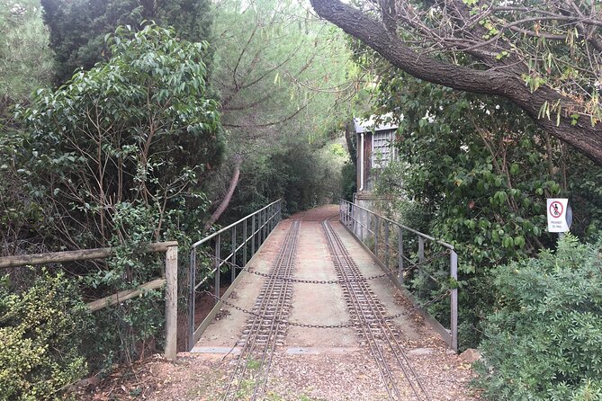 Photography route through the secret nature of Barcelona - From Plaça de Catalunya to the Collserola hills