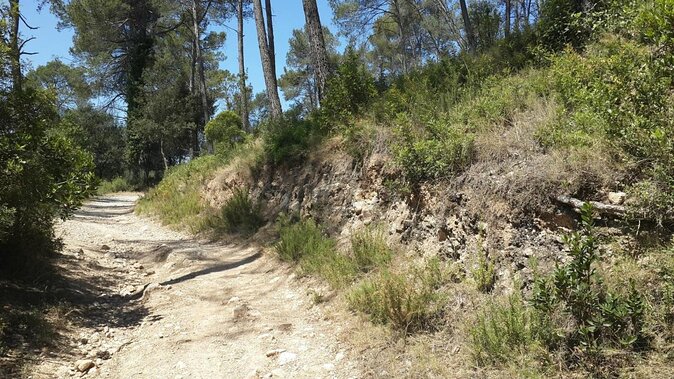 Photography route through the secret nature of Barcelona - What to expect in Collserola Natural Park
