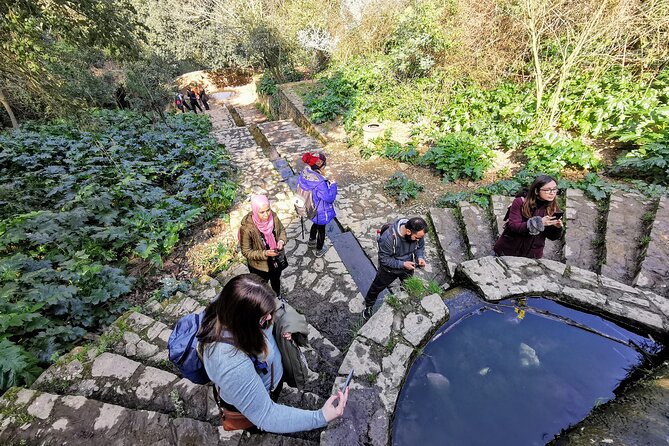 Photography route through the secret nature of Barcelona - Why the photography format works