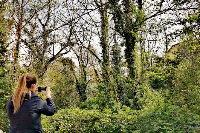Photography route through the secret nature of Barcelona - Is $30.04 good value?