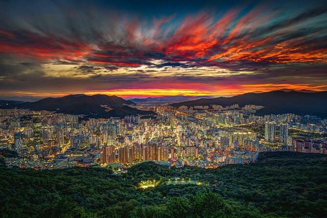 [Photography Tour] Busan Night Tour (Max. 7 Pax) - Gamcheon Culture Village: color in a short visit