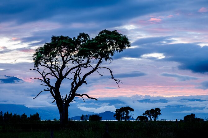 Photography Tour from Queenstown to Glenorchy - 1/2 Day - Three hours among mountains, forests, lakes, and rivers