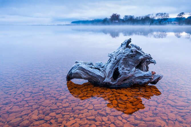 Photography Tour from Queenstown to Glenorchy - 1/2 Day - Snacks, transport, and small practical details