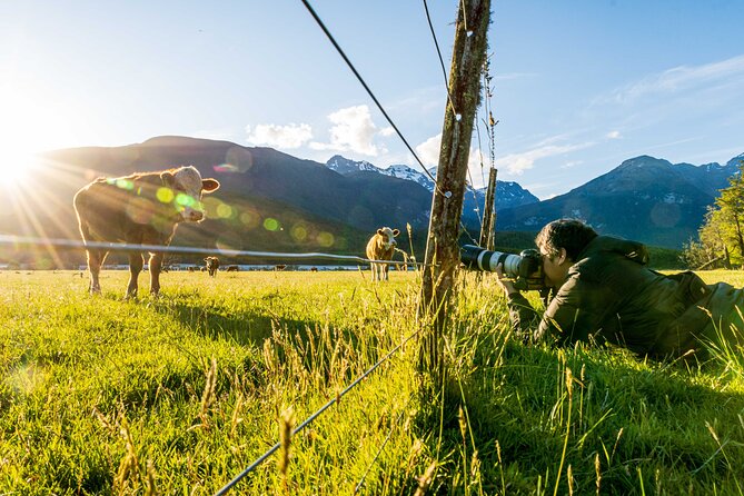 Photography Tour from Queenstown to Glenorchy - 1/2 Day - How the price compares with the experience