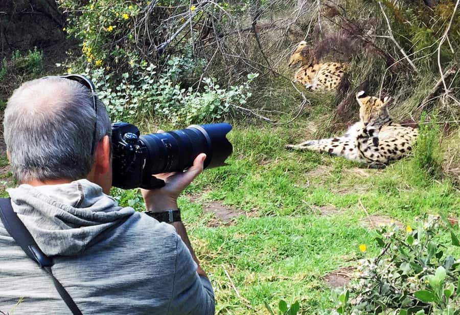 Plettenberg Bay: Private Guided Wildlife Photography Tour - Key points to know before you go