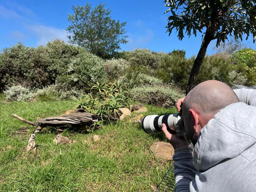 Plettenberg Bay: Private Guided Wildlife Photography Tour - What makes Tenikwa different from a standard animal attraction