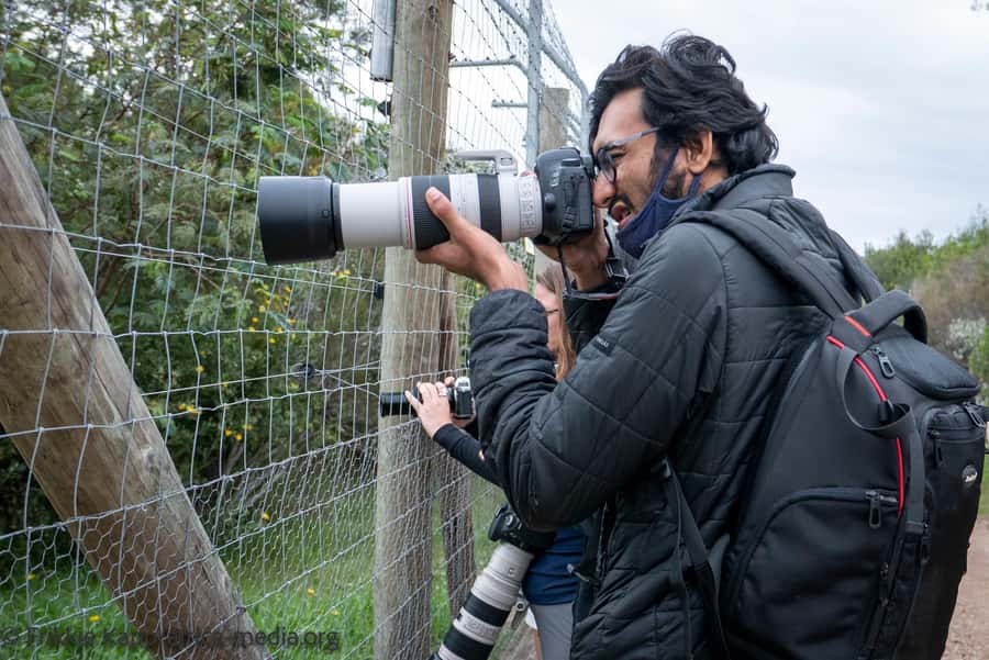 Plettenberg Bay: Private Guided Wildlife Photography Tour - How much time should you allow?