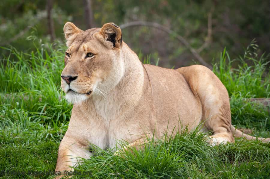 Plettenberg Bay: Private Guided Wildlife Photography Tour - Getting there and preparing for the visit