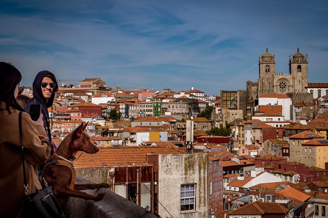 Porto 1/2 Day Walking Photo Tour & Portraits - Who will enjoy this most