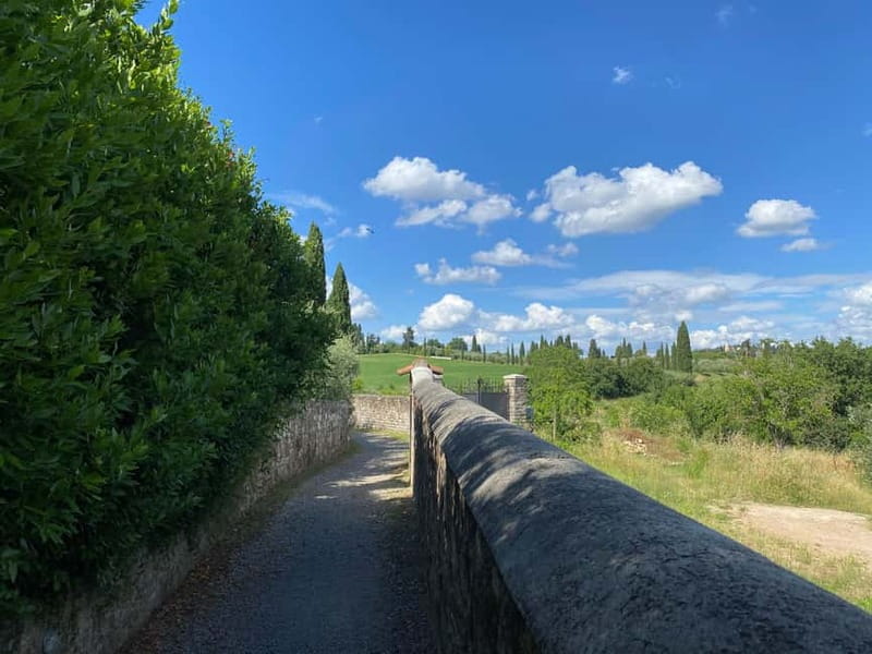 Premium Chianti E-Bike Tour, Food Wine Tasting + Photo shoot - Arcetri and the Old Hill Villages