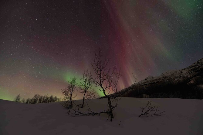 Private Aurora Hunting with Professional Photographer from Alta - Why this is more than a quick Northern Lights stop