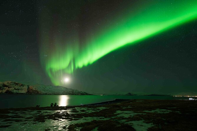 Private Aurora Hunting with Professional Photographer from Alta - How the private format affects value