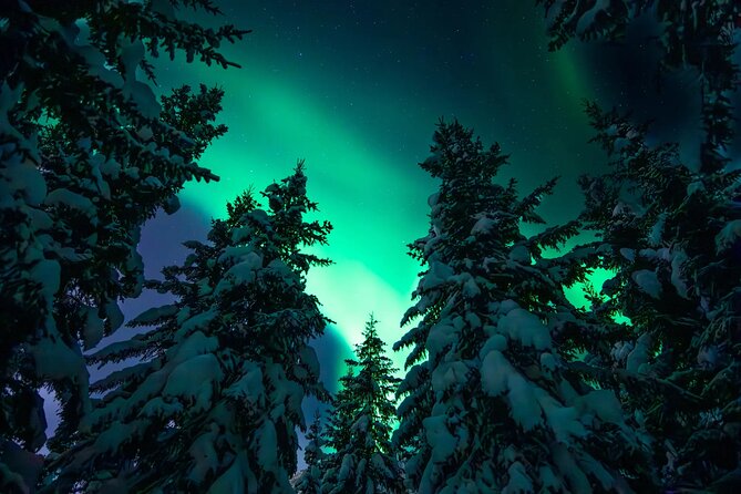 Private Aurora Hunting with Professional Photographer from Alta - Bonfire, thermal gear, and food in the cold