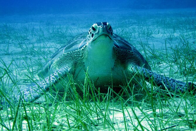 Private Discovery Dive + Photos & Videos - What happens at Poseidon Dive Centre