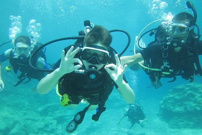 Private Discovery Dive + Photos & Videos - Photos and videos add real value