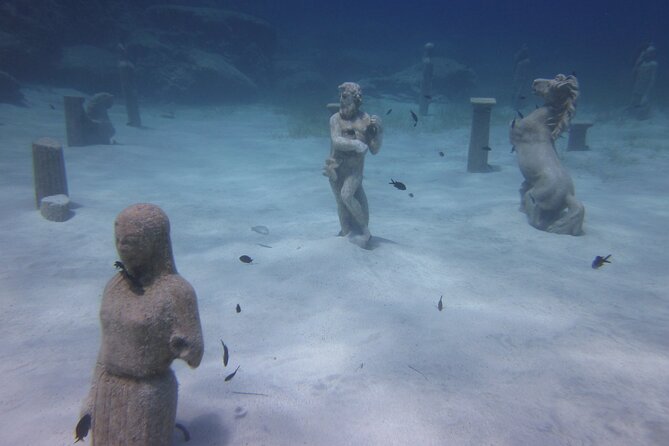 Private Discovery Dive + Photos & Videos - Health, alcohol, and flying rules