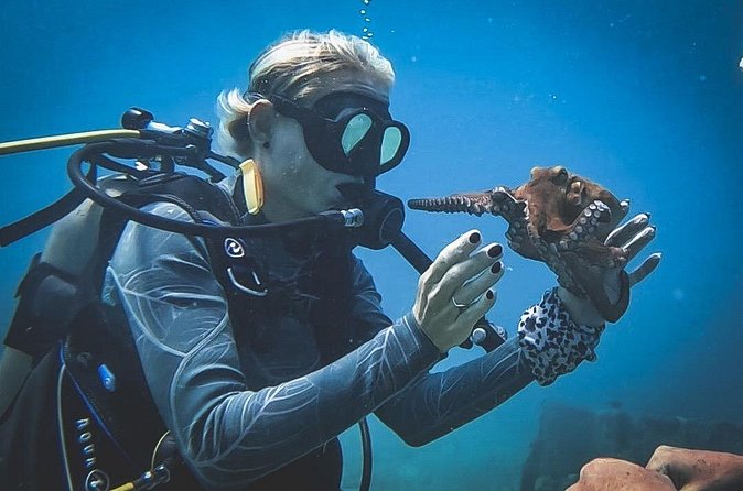 Private Dive + videographer/Photographer (Certified divers only) - The guides: Alan, Raymond, and the value of a good pace