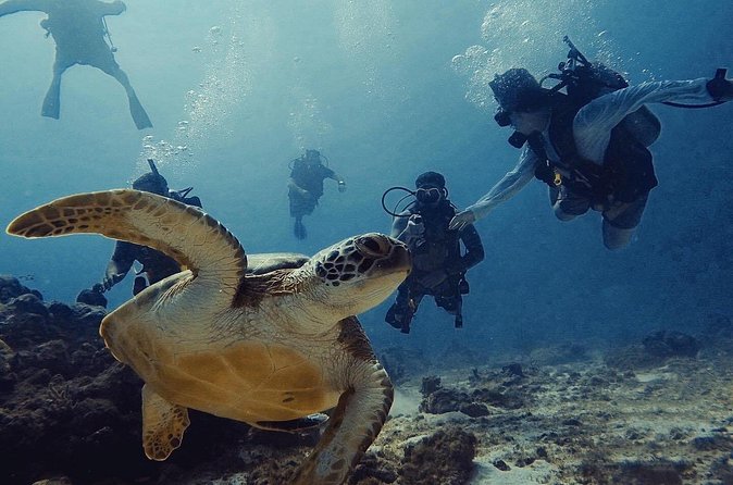 Private Dive + videographer/Photographer (Certified divers only) - Is $120 per person a fair price?