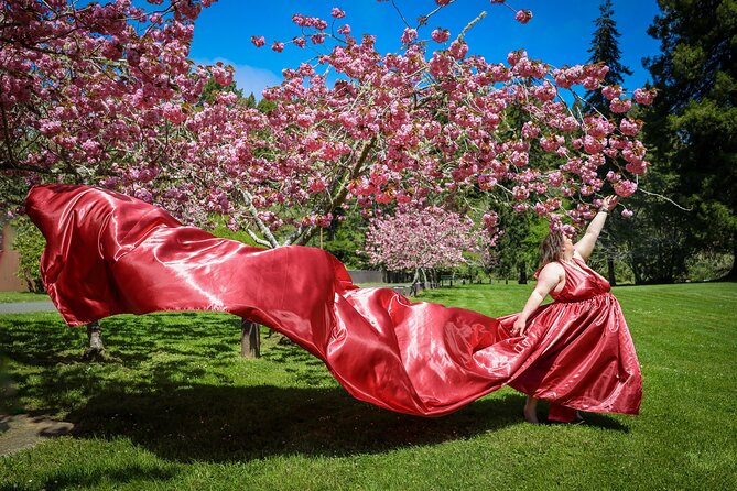 Private Flying Dress Photography Experience with Rental Included - Value, group size, and practical planning