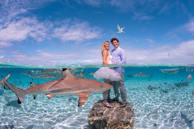 Private Full Day Aquatic Photo Tour + Resort Photo-Shoot (All inclusive) - Key points to know before booking