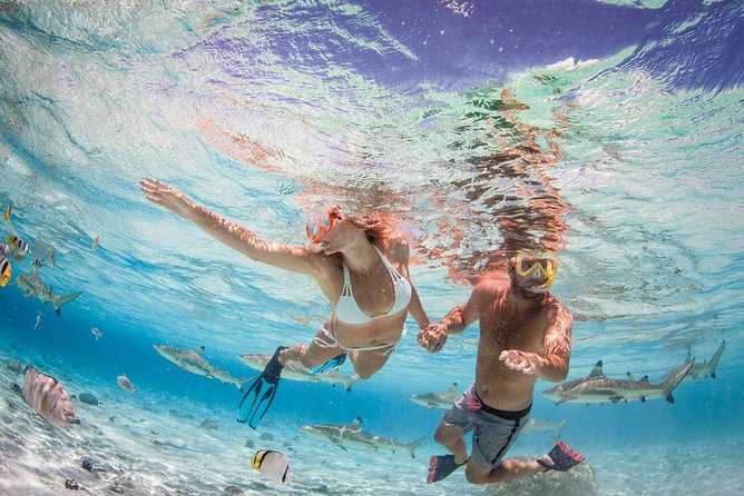 Private Full Day Aquatic Photo Tour + Resort Photo-Shoot (All inclusive) - Is $2,450 good value for two people?