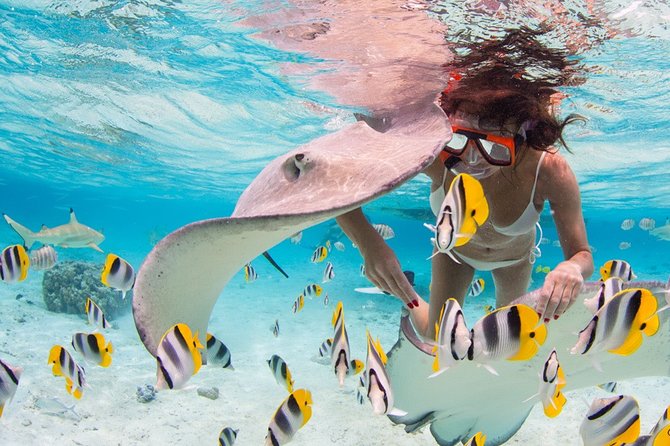 Private Full Day Aquatic Photo Tour + Resort Photo-Shoot (All inclusive) - Starting with portraits at your resort