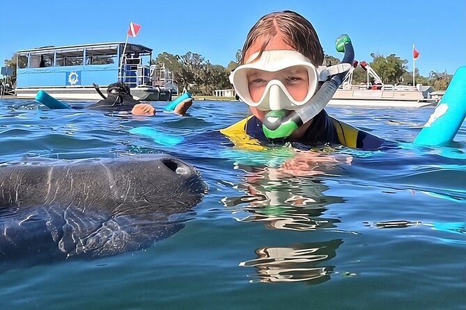 Private Manatee Swim Crystal River FL 6 Passenger Max Free Photos - Key points to know before booking