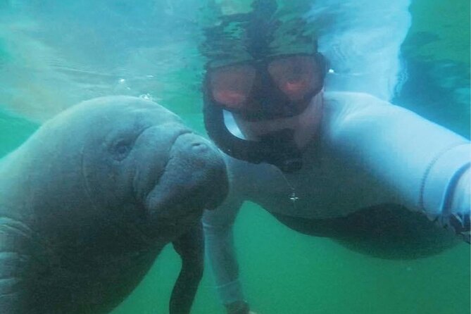 Private Manatee Swim Crystal River FL 6 Passenger Max Free Photos - Meeting Captain Al at Pete’s Pier Marina
