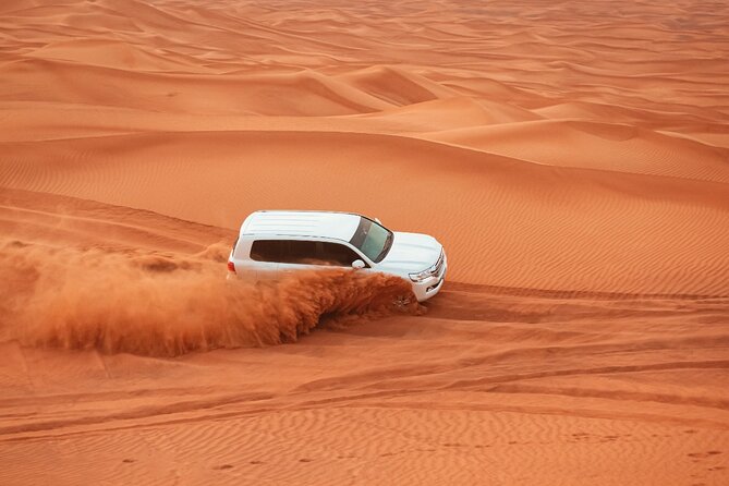 Private Morning Desert Safari with Camel Ride Falcon Photos - Key points at a glance