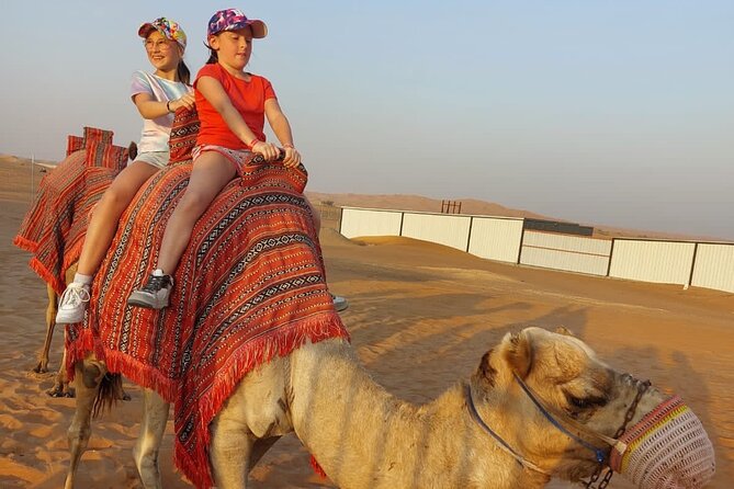 Private Morning Desert Safari with Camel Ride Falcon Photos - What the private format is worth