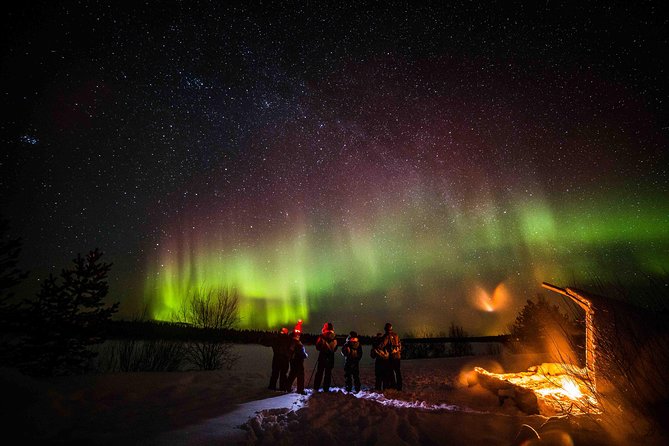 Private Northern Lights photography tour in Rovaniemi - The human side of the experience