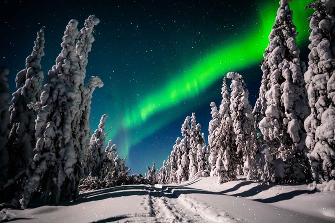 Private Northern Lights photography tour in Rovaniemi - What the $868.91 group price buys you
