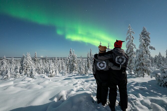 Private Northern Lights photography tour in Rovaniemi - Pickup, timing, and cold-weather planning