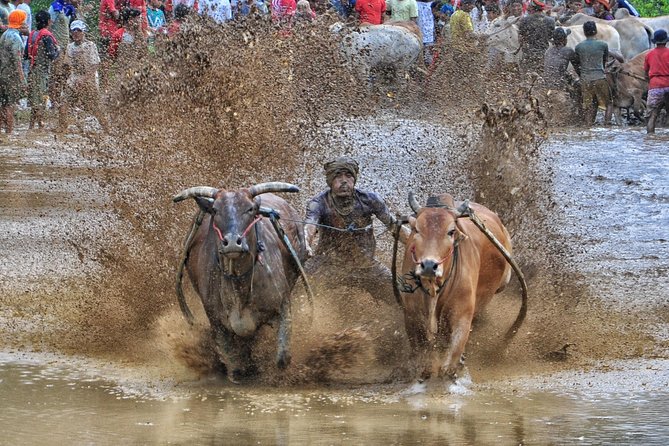 Private Photography Trip 3 Days 2 Nights With Accommodation - Why Pacu Jawi makes this more than a sightseeing tour