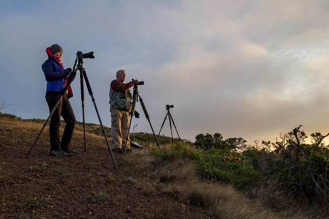 Private San Francisco Sunset Photography Experience - From 1330 Kobbe Avenue to the first photo stop