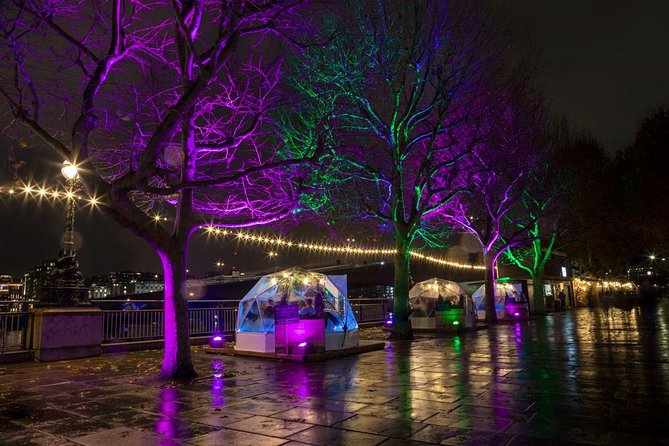 Private Tour: Night Photography Tour in London - Big Ben and the Houses of Parliament