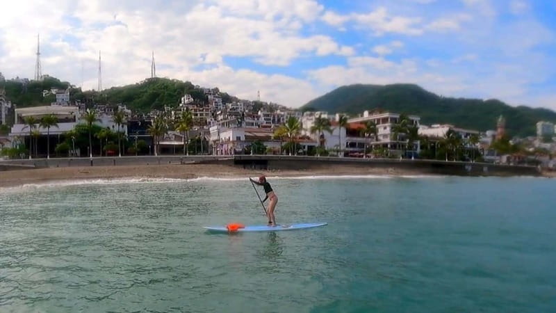 Puerto Vallarta: Guided SUP Board Tour with Digital Photos - Wildlife is a bonus, not a promise