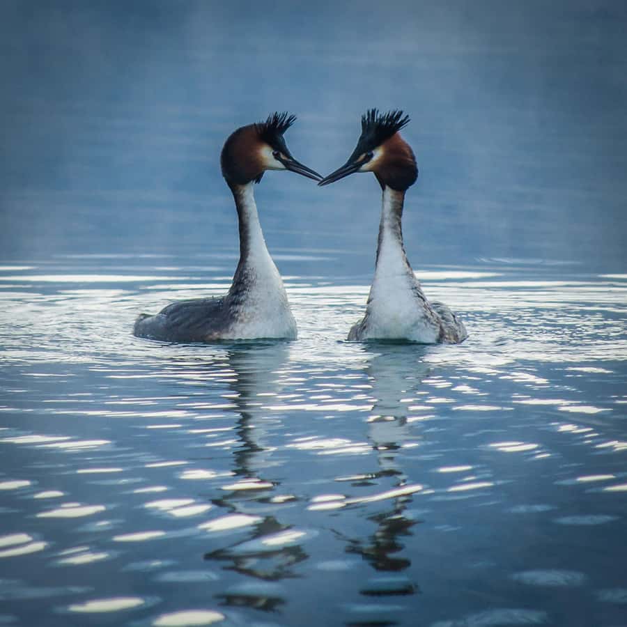 Queenstown and Environs: Full Day Private Photography Tour - The coaching: useful help instead of a lecture