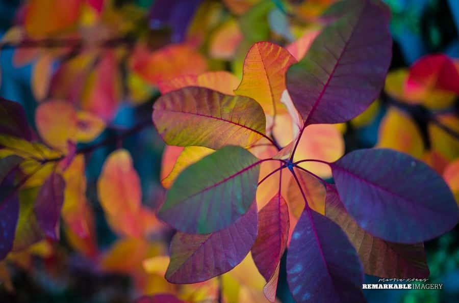 Queenstown: Half Day Private Photography Tour - Food, comfort, and the small practical details