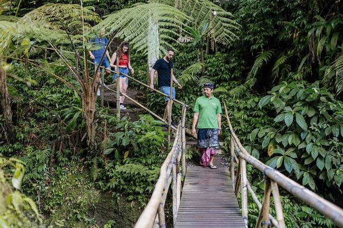 Quick Access: The Bali Instagram Small Group Tour - Tegalalang adds the classic rice terrace view