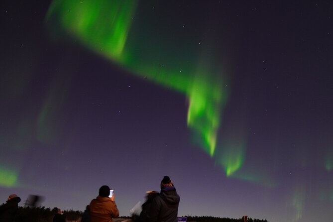 Reykjavik Northern Lights Tour with Pro Aurora Photos Small Group - Cocoa, cookies, and Viking props