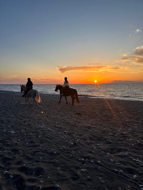 Rhodes: Horseback Riding Trip with Digital Photos - A gentle way to see Rhodes beyond the resort